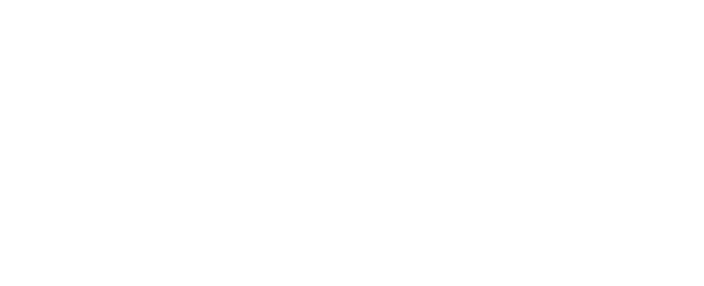 Staufen Inova logo